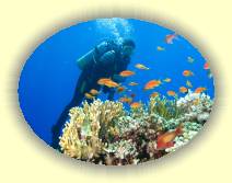 IMG_2007_05_29 14_23_48 * 3072 x 2304 * (850KB)